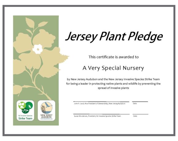 The Jersey Plant Pledge