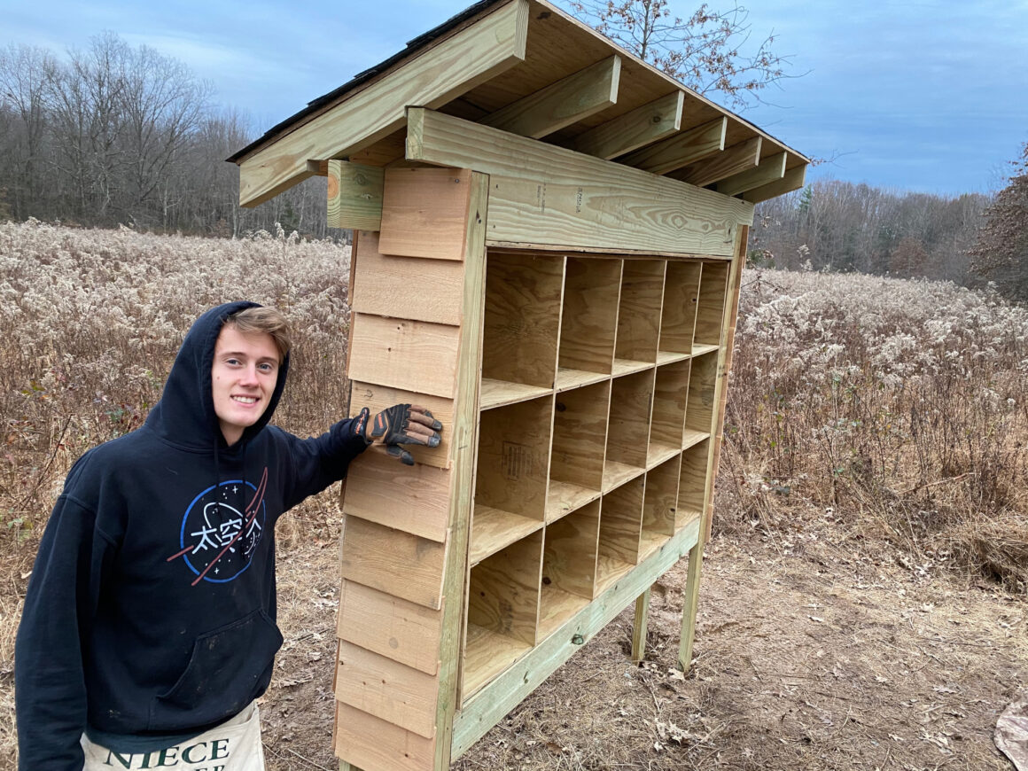 Bee Abode Project