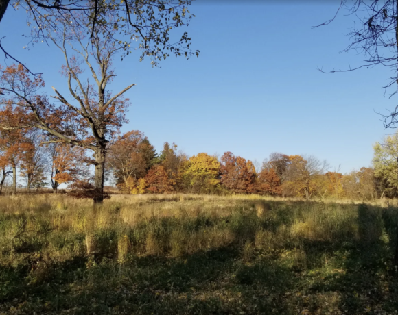 Essex County Parks – Protecting Urban Forests