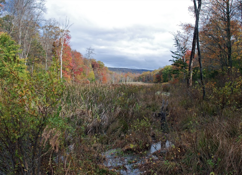 The Land Conservancy of New Jersey – Yards Creek Preserve Stewardship Plan